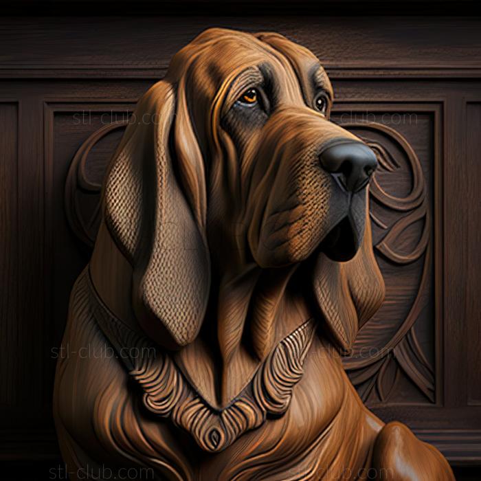 st Bloodhound dog